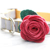 Dog Collar Rose Flower